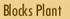 Blocks Plant
